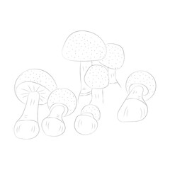 Mushroom coloring pages premium vector