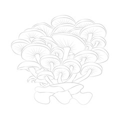 Mushroom coloring pages premium vector