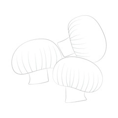 Mushroom coloring pages premium vector