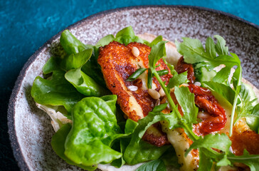 Plate with fresh vegetarian tacos billed by plants, arugula, cheese, basil and strawberry.