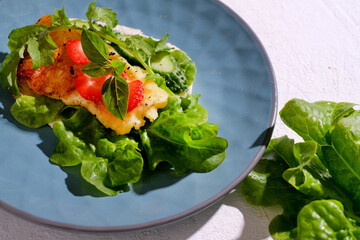 Plate with fresh vegetarian tacos billed by plants, arugula, cheese, basil and strawberry.