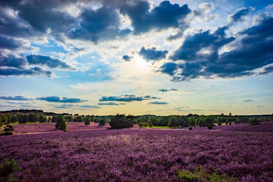 Haverbeck Bilder Durchsuchen 74 Archivfotos, und