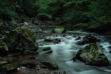 Obraz premium 新緑の渓流