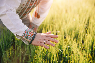 A man in Ukrainian embroidery touches wheat at sunset. Concept of preservation of Ukrainian grain, blockade of ports, world hunger and crisis - obrazy, fototapety, plakaty