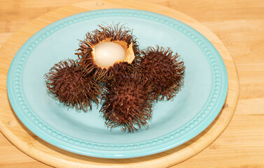 Rambutan white smoother oval shaped fruit is displayed inside the hairy reddish brown exterior on a...
