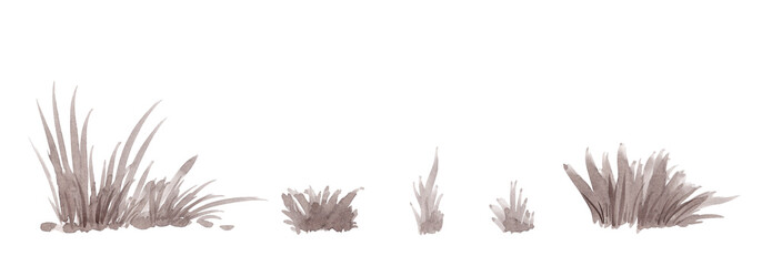 Set of watercolor blades of grass and plants. Monochrome illustration isolated on white background