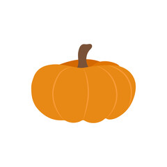 Flat icon pumpkin isolated on white background. Vector illustration.