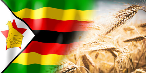 Zimbabwe - flag and ripe rye field - crops, cereal, harvest concept - obrazy, fototapety, plakaty