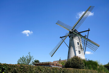 Windmill -  Belgium