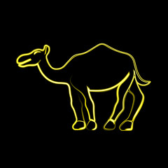 Vector illustration of camel with neon effect.