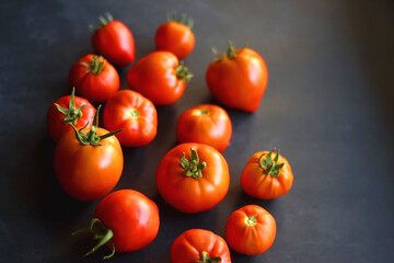 Fresh organic tomatoes, picked from the garden, on dark background. Selective focus.