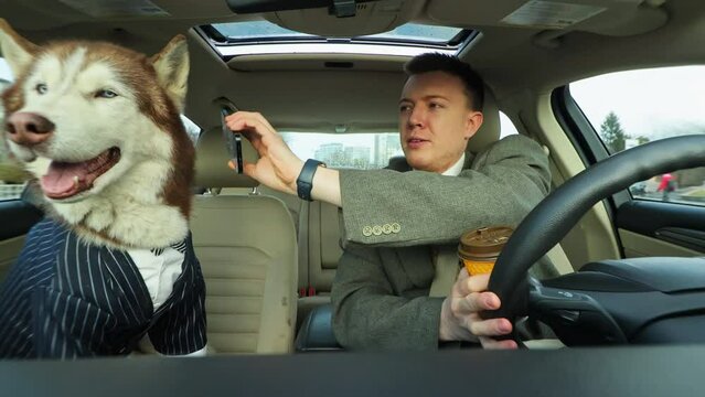 Funny shot attractive businessman driving drinks g coffee with a friend dog. Husky speak on phone on sunny day. Cute pet. Smiling. Travel together. Close up