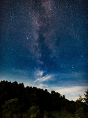 A natural landscape at night. The Milky Way galaxy and many stars in the sky above the forest, vertical photo