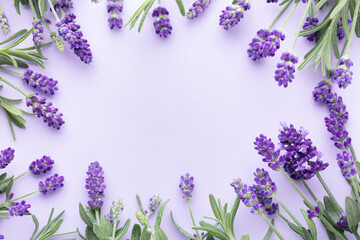 Flowers composition, frame made of lavender flowers on pastel background.