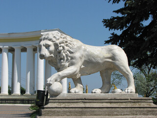 Lion near Colonnade of the Vorontsov Palace in Odessa, Ukraine	
