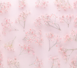 Beautiful flower background of pink gypsophila flowers. Flat lay, top view. Floral pattern.