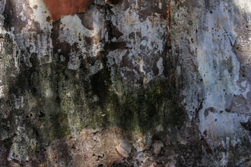 Beautiful background from old wall.