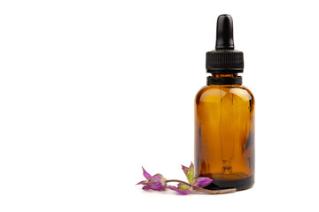 A bottle of essential oil with fresh blooming clary sage twigs on white background.