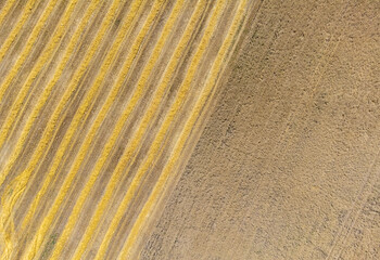 a field with half harvested wheat seen from above