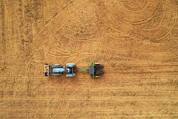 Fototapeta na wymiar Planting corn in a field. 
