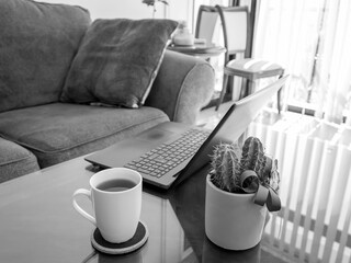 Mug of tea, potted cactus and laptop on coffee table in living room, black and white