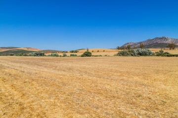 Fototapeta premium Sierra de Grazalema natural park