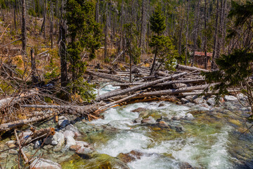 Stream in High Tatras mountains © Rui Vale de Sousa