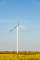 Farma wiatrowa. Elektryczne turbiny wiatrowe w kwitnącym polu rzepaku