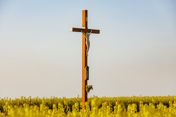 Drewniany krzyż w otoczeniu kwitnącego rzepaku - obrazy, fototapety, plakaty