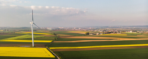 Fototapeta Farma wiatrowa. Elektryczne turbiny wiatrowe w kwitnącym polu rzepaku, panorama obraz