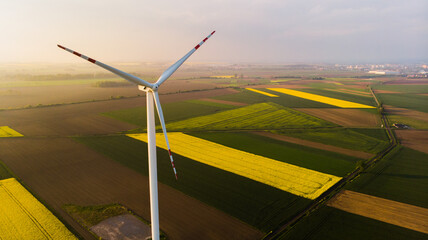 Farma wiatrowa. Elektryczne turbiny wiatrowe w kwitnącym polu rzepaku, panorama