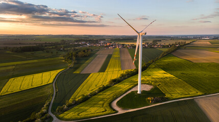 Fototapeta Farma wiatrowa. Elektryczne turbiny wiatrowe w kwitnącym polu rzepaku, panorama obraz