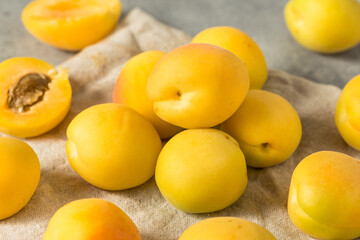 Healthy Organic White Apricot Angelcots