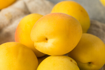 Healthy Organic White Apricot Angelcots