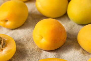 Healthy Organic White Apricot Angelcots