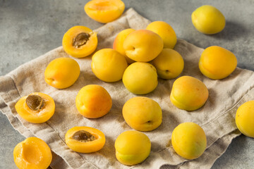 Healthy Organic White Apricot Angelcots