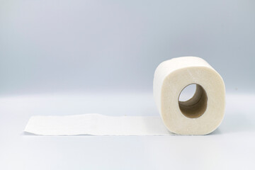 toilet paper roll