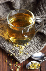 Camomile herbal dried tea in a glass cup with flowers and knitted woollen sweater on wooden rustic background, closeup, winter cold healing drink, natural medicine and naturopathy concept