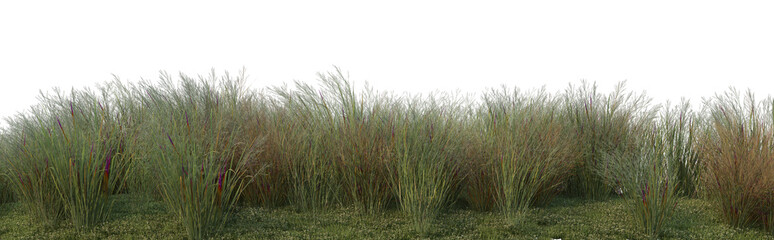Streaky grass on a white background.