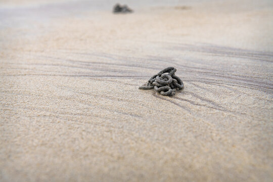 Lugworm Castings on Ventry Bay Beach in  County Kerry, Ireland