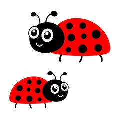 Ladybug cute character set. Red tiny ladybirds group. Vector isolated on white.	

