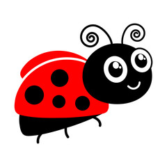 Fototapeta premium Ladybug cute character. Little red ladybird. Vector isolated on white. 