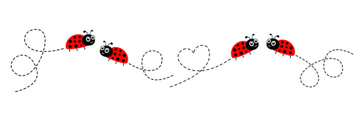 Ladybug icon set. Ladybirds flying on dotted route. Vector isolated on white.  © Віталій Баріда