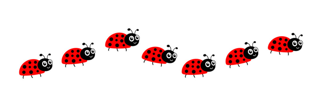 Ladybugs line icon group. Cute ladybirds set. Vector illustration isolated on white.	
