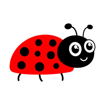 Ladybug cute character. Little red ladybird. Vector isolated on white.	