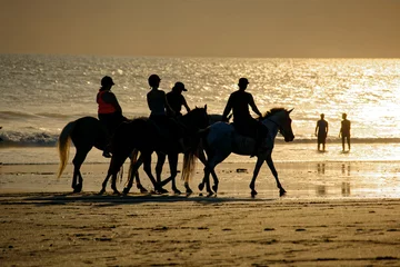 Fotobehang silhouettes of people enjoying summer holidays horse riding on the beach © Indra