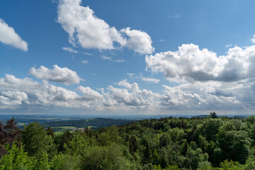 Forest areas in Germany photographed in the spring month of May