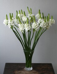 オーニソガラム