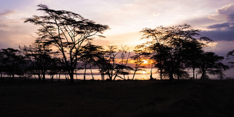 Naklejka na ściany i meble Stunning sunset with soft pinks and oranges in the sky looking out to Lake Nakuru in Kenya Africa.