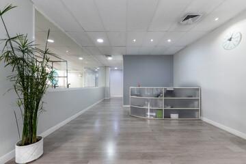 Room with a reception desk in a corrective physics business